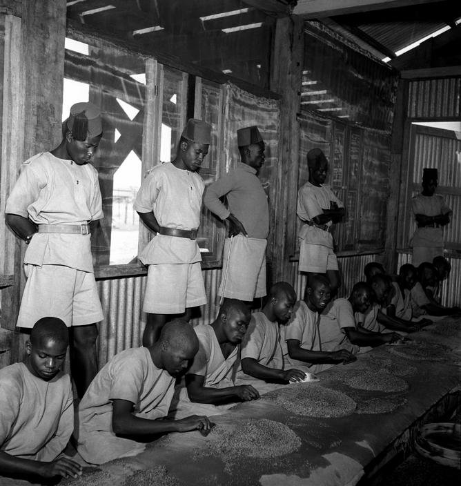Mwadui diamond sorting in the early days